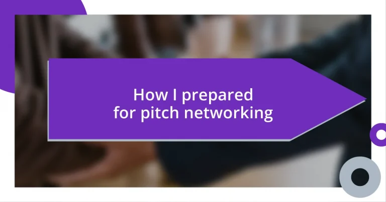 How I prepared for pitch networking