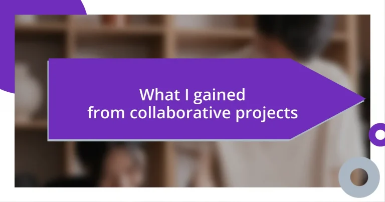 What I gained from collaborative projects